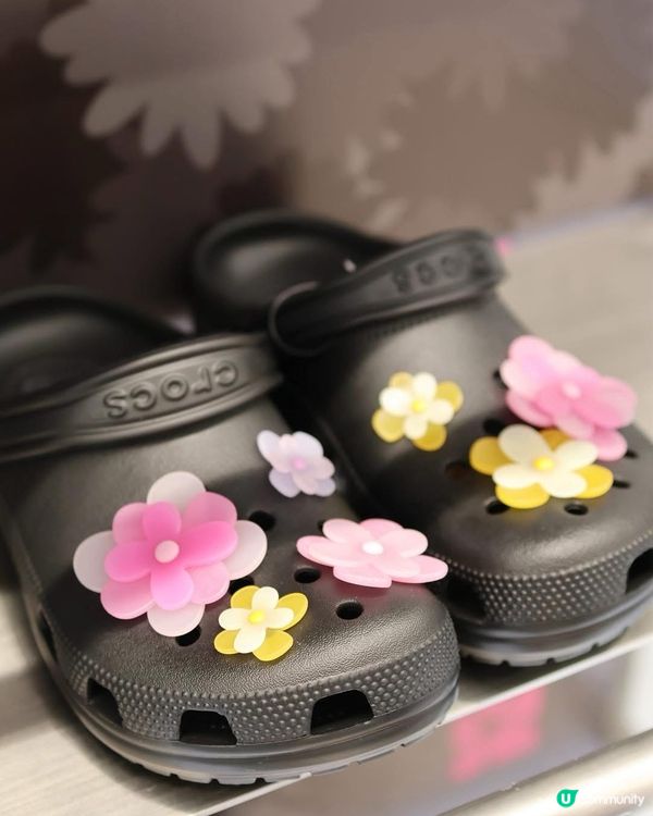 尖咀新鋪開張！🌼 韓風小雛菊+臘腸狗🐶 潮爆！