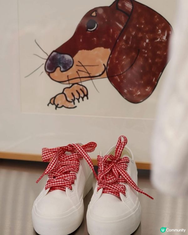 尖咀新鋪開張！🌼 韓風小雛菊+臘腸狗🐶 潮爆！