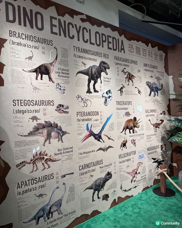 暑假親子遊！啟德airside小小考古學家🦖⛏️