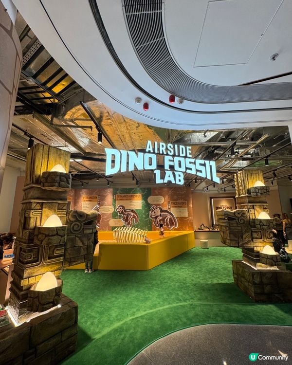 暑假親子遊！啟德airside小小考古學家🦖⛏️