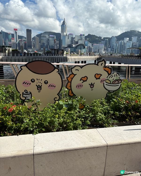 「Chiikawa展覽」咁可愛😍點可以錯過♥️（Part 3)