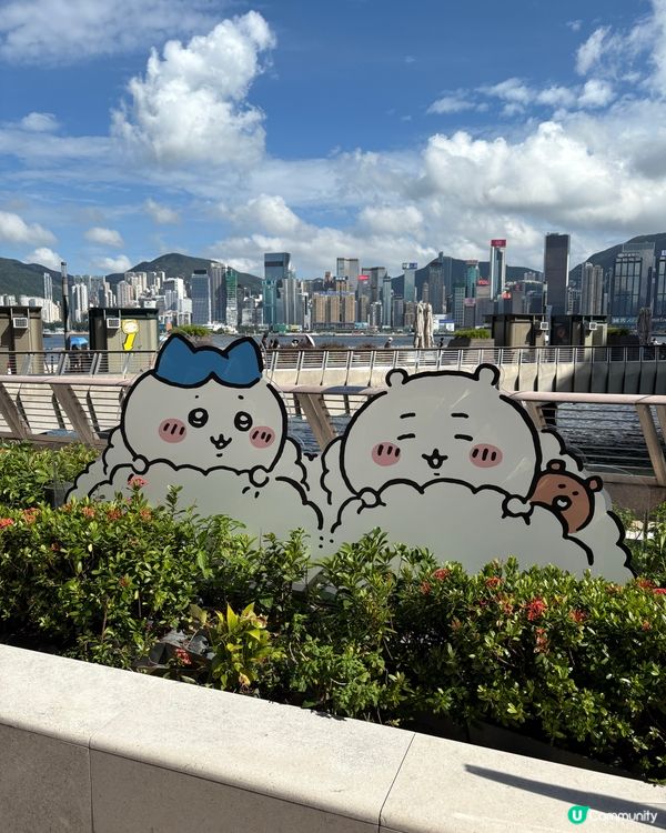 「Chiikawa展覽」咁可愛😍點可以錯過♥️（Part 3)