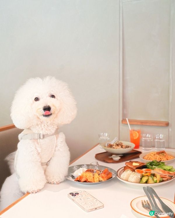 恭喜十常八九旺角新店開張🎉！