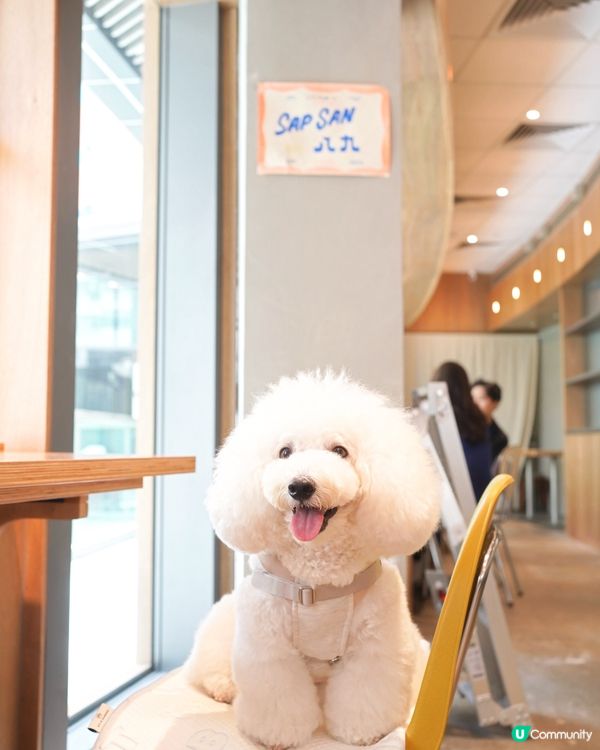 恭喜十常八九旺角新店開張🎉！