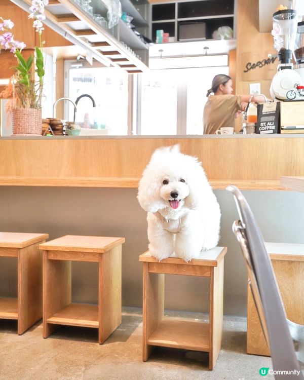 恭喜十常八九旺角新店開張🎉！