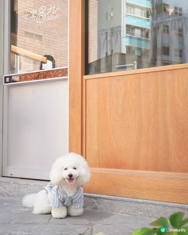 恭喜十常八九旺角新店開張🎉！