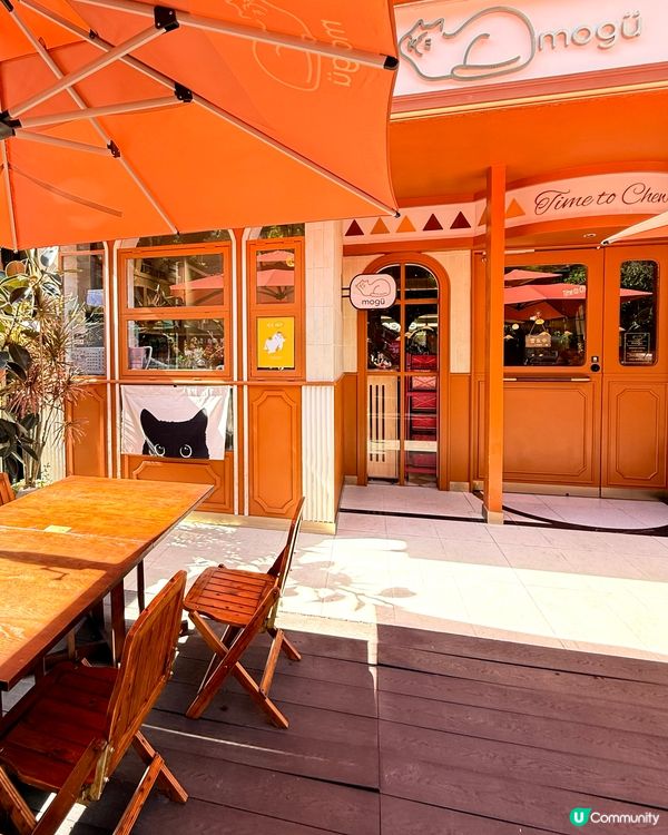 🇨🇳 深圳 | 福田 | 全新貓系復古和風洋食屋🐱