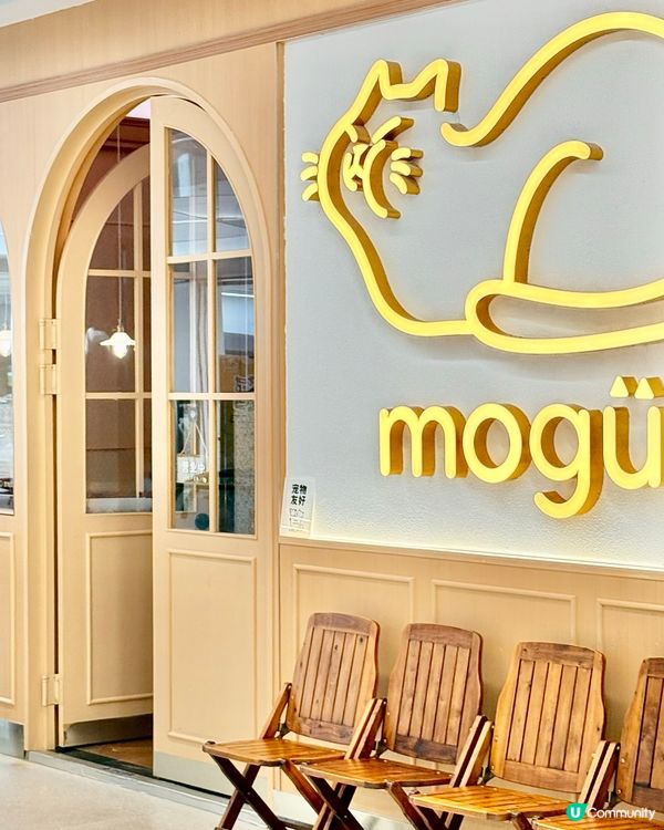 🇨🇳 深圳 | 福田 | 全新貓系復古和風洋食屋🐱