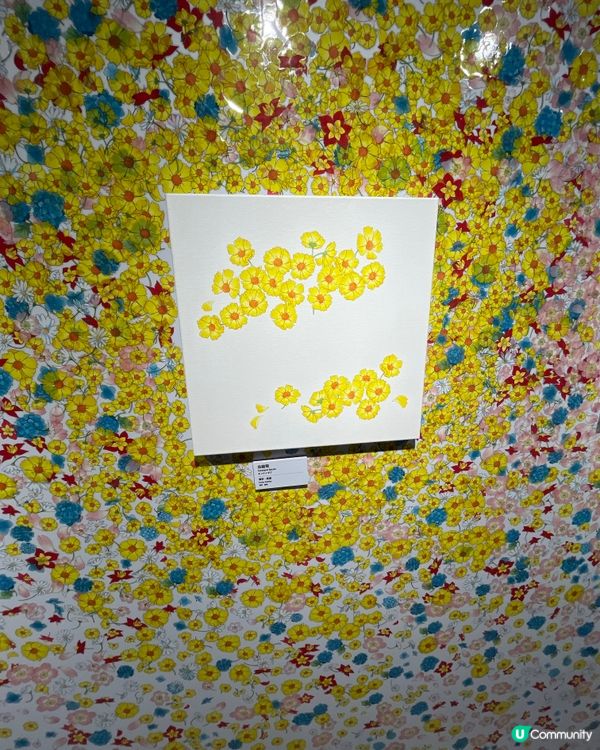 🌸✨ 魔法之旅：百變小櫻展來啦 ✨🌸