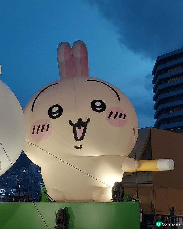 想分享Usagi兔兔，鍾意佢原因好簡單，就係夠可愛，又傻又叻...