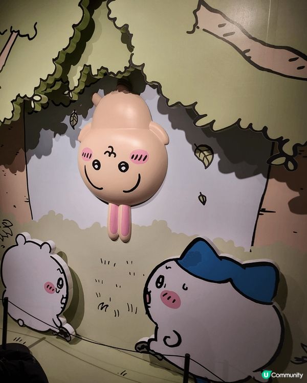 想分享Usagi兔兔，鍾意佢原因好簡單，就係夠可愛，又傻又叻...