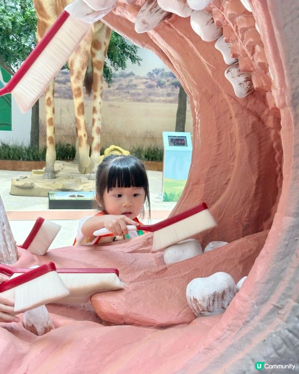 ｢見習動物護理員｣工作體驗 🐘🦛🦒