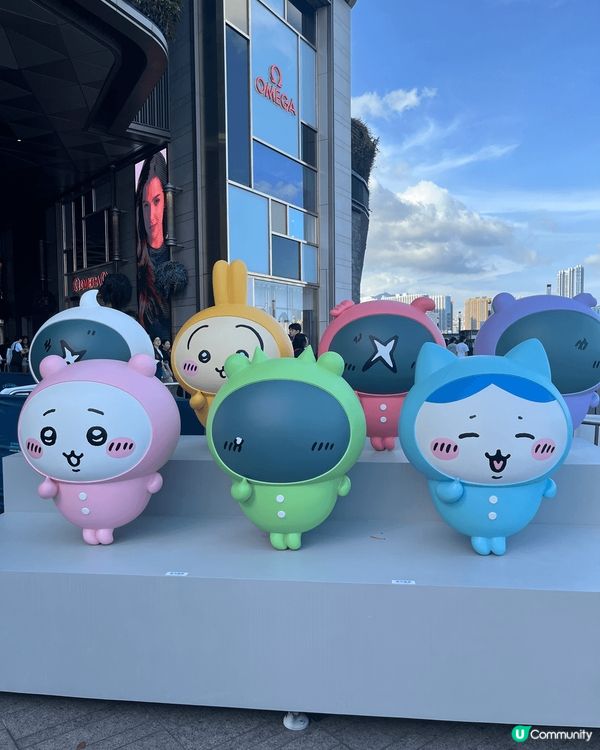 身為兔媽嘅我好好彩😎
