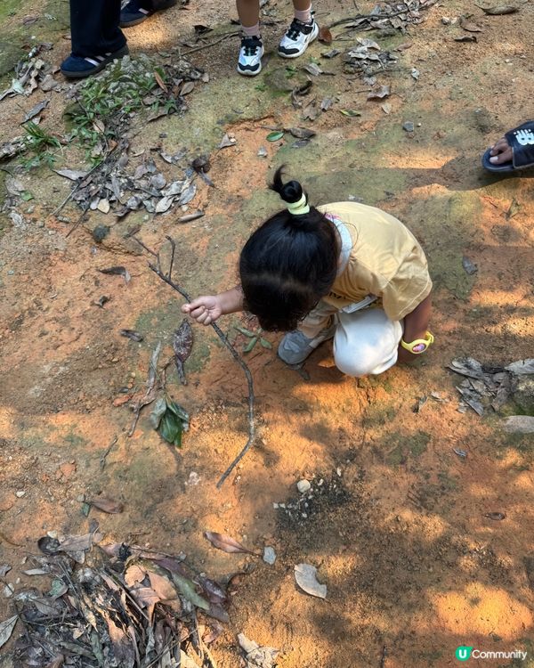 親親大自然超開心🌳🦋