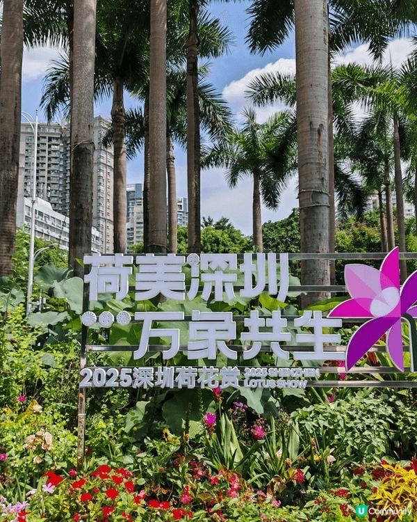 embryolisse 萬用霜是法國美妝界網紅，無論急救厚敷...