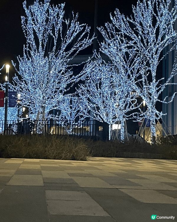 第一張相係位於鰂魚涌的小朋友放電一流，第二張相係啟德的一個夜...