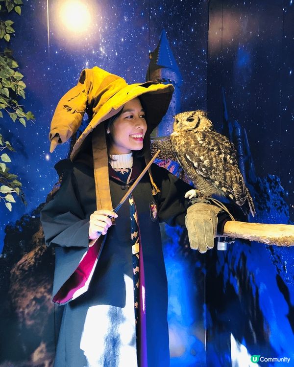 於日本晴空塔下看到櫻花，正好圈著晴空塔，十分漂亮；探望貓頭鷹...