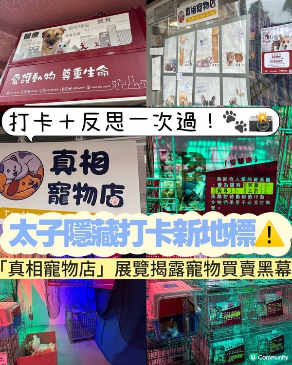 【展覽直擊】太子「真相寵物店」打卡＋教育兼備‼️