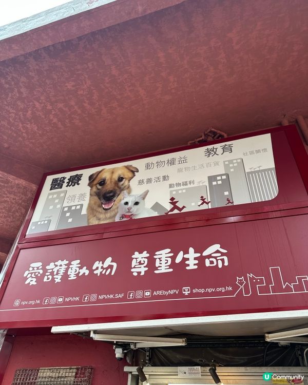 【展覽直擊】太子「真相寵物店」打卡＋教育兼備‼️