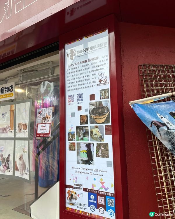 【展覽直擊】太子「真相寵物店」打卡＋教育兼備‼️
