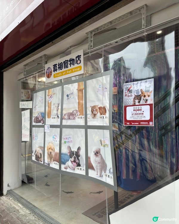 【展覽直擊】太子「真相寵物店」打卡＋教育兼備‼️