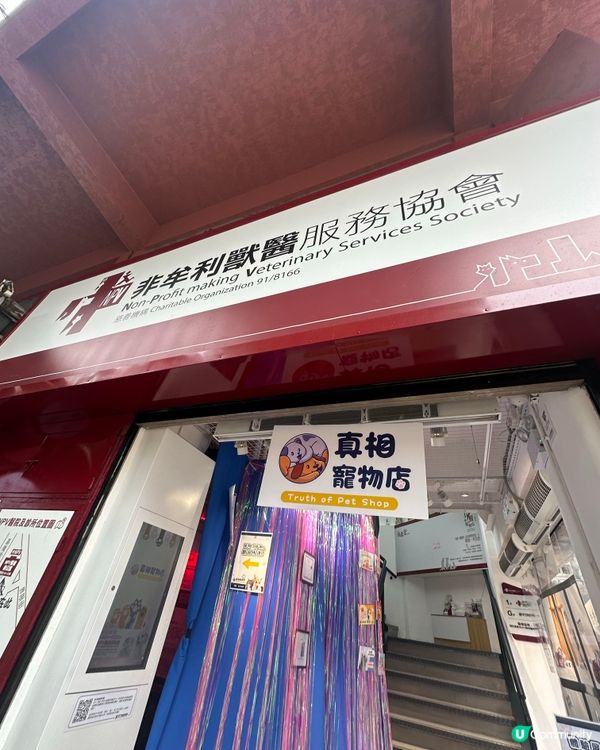 【展覽直擊】太子「真相寵物店」打卡＋教育兼備‼️