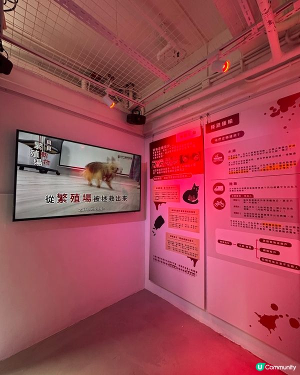 【展覽直擊】太子「真相寵物店」打卡＋教育兼備‼️