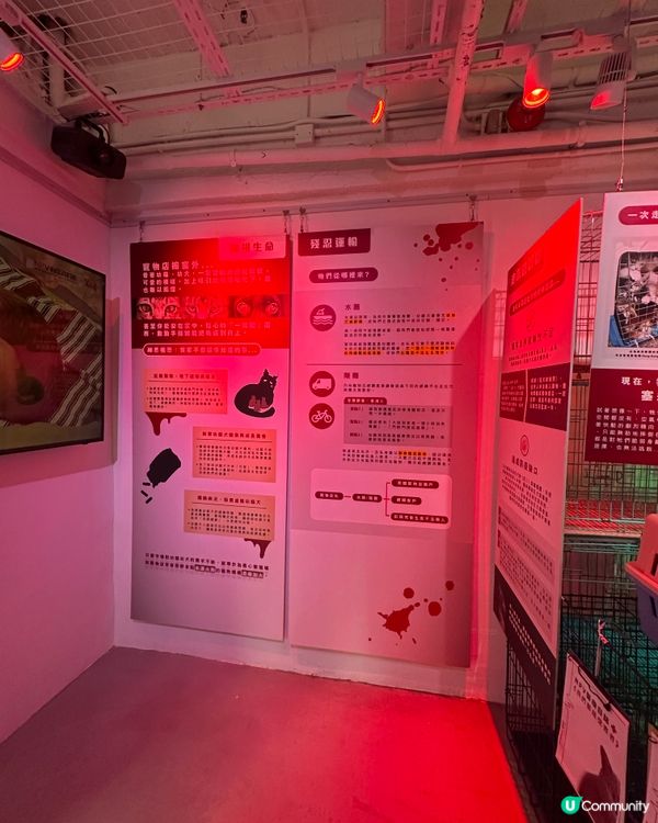 【展覽直擊】太子「真相寵物店」打卡＋教育兼備‼️