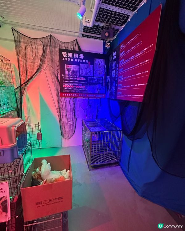 【展覽直擊】太子「真相寵物店」打卡＋教育兼備‼️