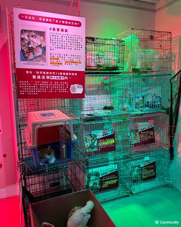 【展覽直擊】太子「真相寵物店」打卡＋教育兼備‼️