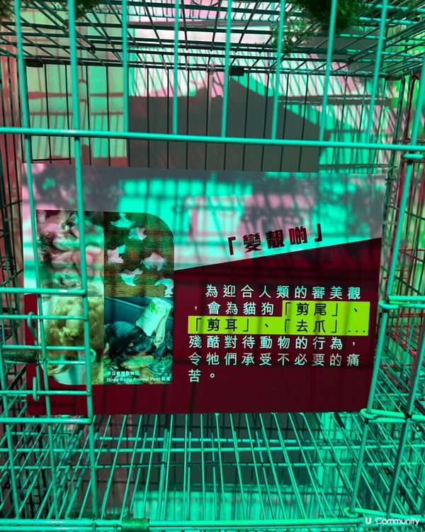 【展覽直擊】太子「真相寵物店」打卡＋教育兼備‼️