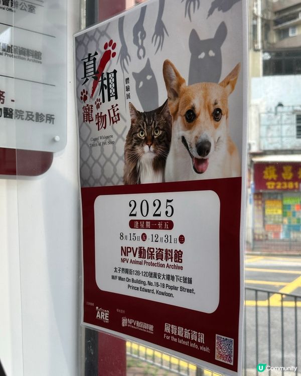 【展覽直擊】太子「真相寵物店」打卡＋教育兼備‼️