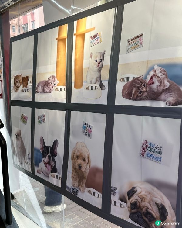 【展覽直擊】太子「真相寵物店」打卡＋教育兼備‼️