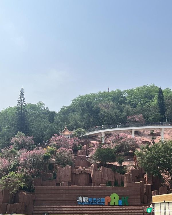 塘廈觀光公園｜擁高度藏底藴