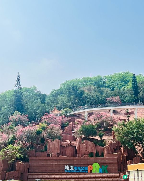 塘廈觀光公園｜擁高度藏底藴