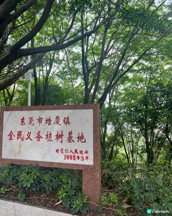 塘廈觀光公園｜擁高度藏底藴