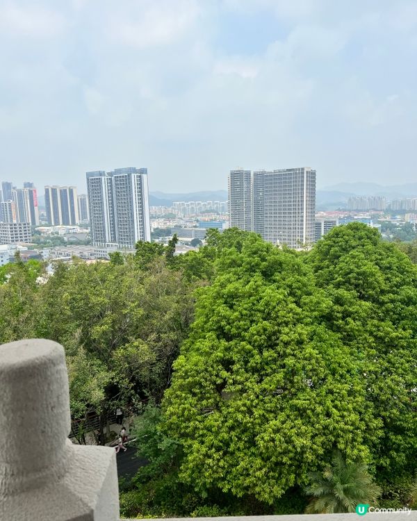 塘廈觀光公園｜擁高度藏底藴