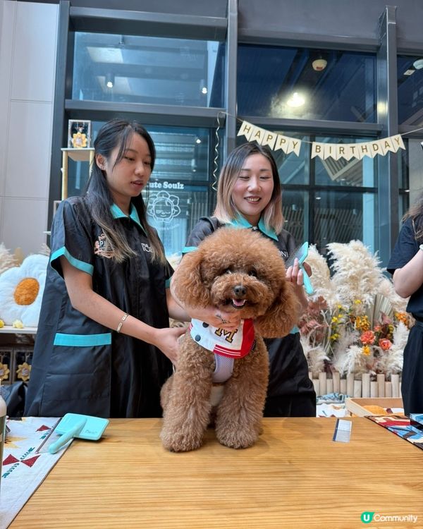 今年方力新生日🎉！狗生嘉年華等你嚟玩🥳！