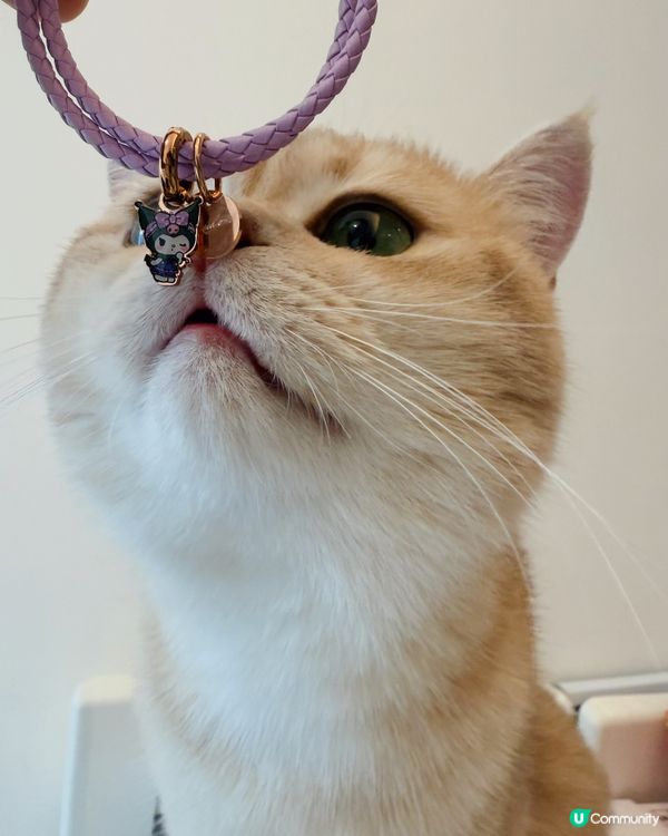 穿搭必備丨Crudo限定Kuromi手鍊·易襯又可愛