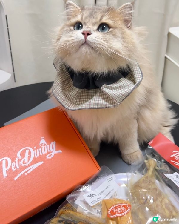 貓貓試食常溫預制三文魚🍣