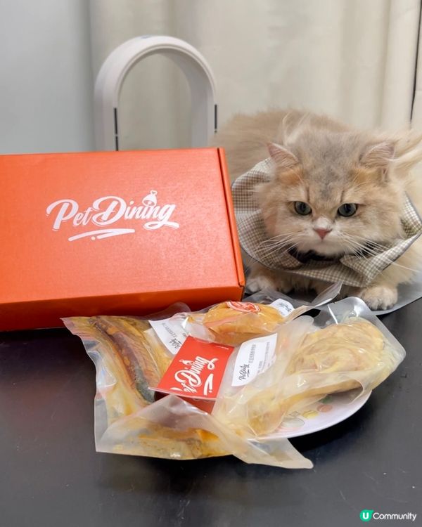 貓貓試食常溫預制三文魚🍣