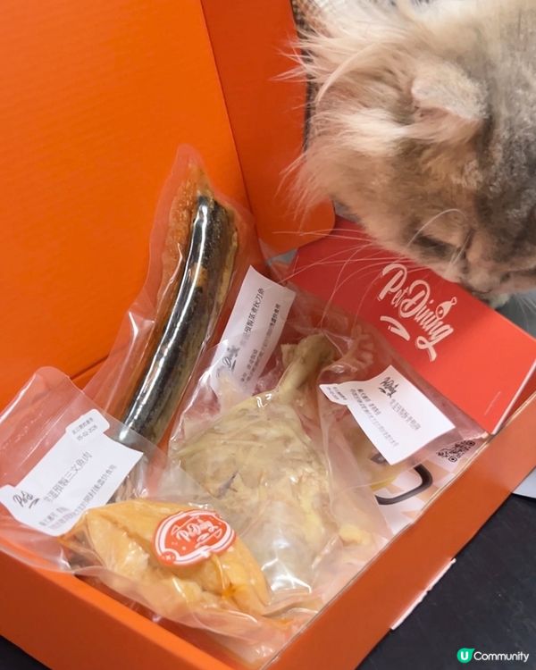 貓貓試食常溫預制三文魚🍣