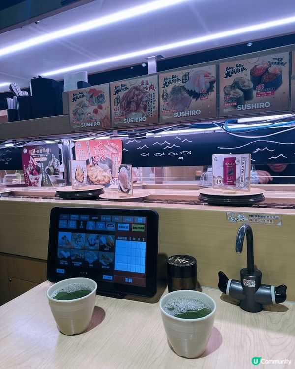 壽司郎尖咀🤤！$17 三文魚超正！🍣