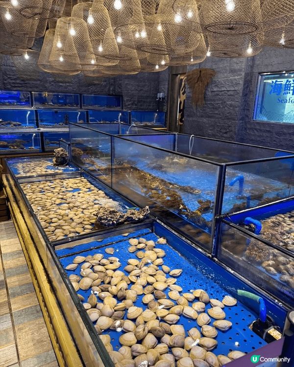 來澳門必食上葡京自助山，真係太多選擇尤其海鮮超新鮮🤤