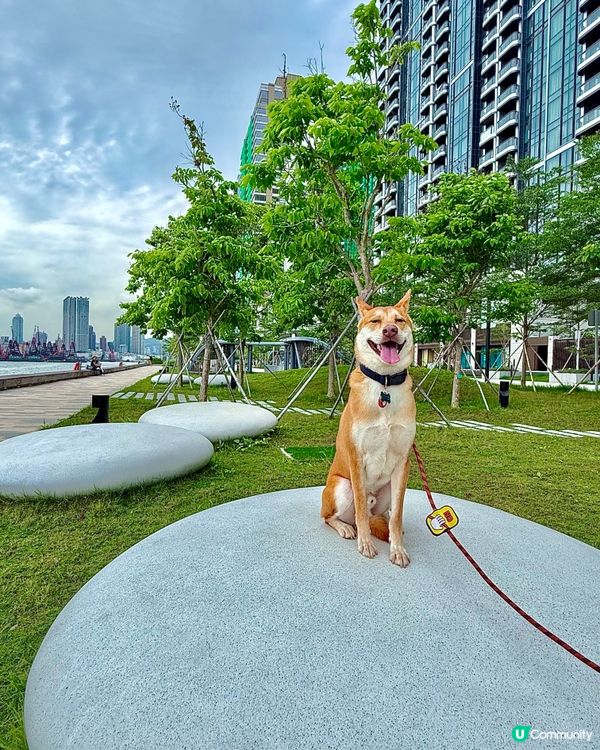 啟德碼頭海濱公園🐶📸 靚景任你影！