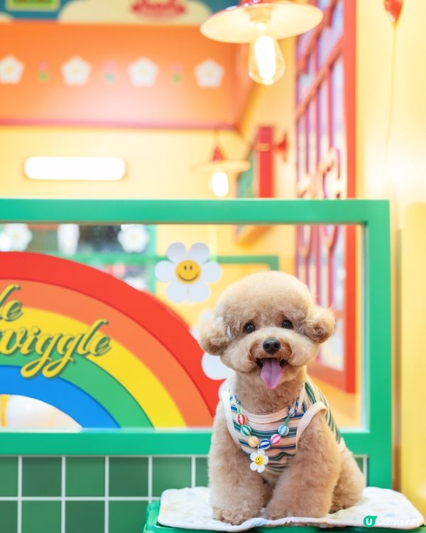 ✨𝓦𝓲𝓰𝓰𝓵𝓮 𝓦𝓲𝓰𝓰𝓵𝓮🌈