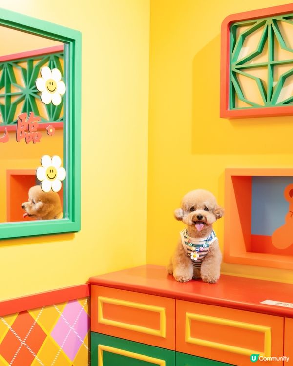 ✨𝓦𝓲𝓰𝓰𝓵𝓮 𝓦𝓲𝓰𝓰𝓵𝓮🌈