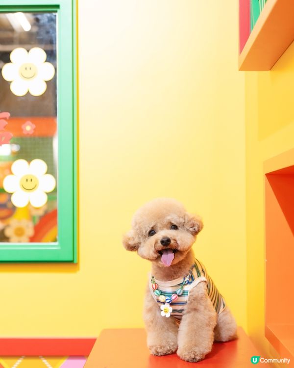 ✨𝓦𝓲𝓰𝓰𝓵𝓮 𝓦𝓲𝓰𝓰𝓵𝓮🌈