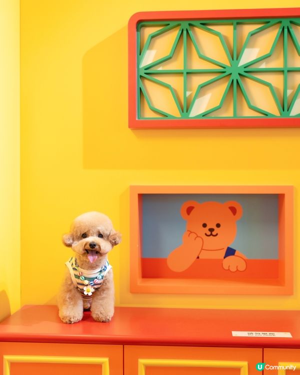 ✨𝓦𝓲𝓰𝓰𝓵𝓮 𝓦𝓲𝓰𝓰𝓵𝓮🌈