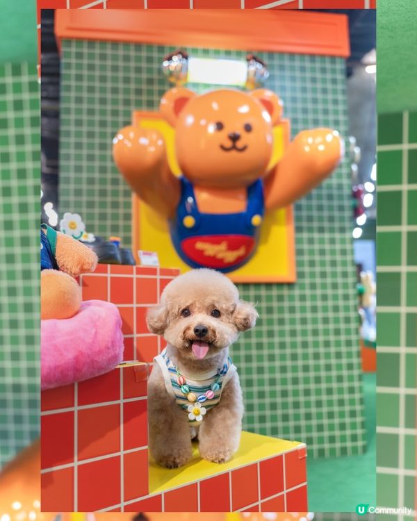 ✨𝓦𝓲𝓰𝓰𝓵𝓮 𝓦𝓲𝓰𝓰𝓵𝓮🌈